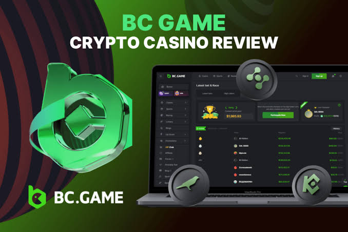 Comprehensive Guide to Bonuses at BC.Game